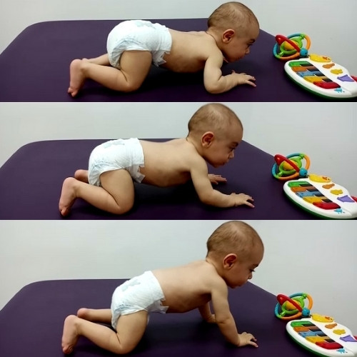 ✓ ¿Qué hace un bebé a los 8 meses? Etapas del motor