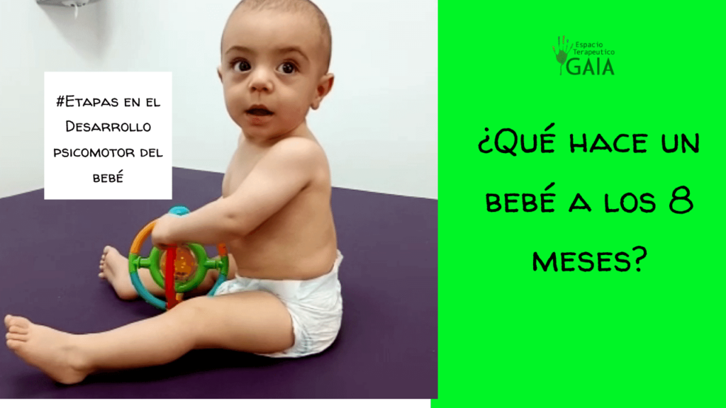 que hace un bebe de 8 meses