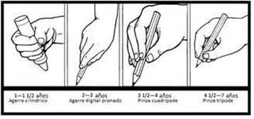 destreza manipulativa desarrollo por edades